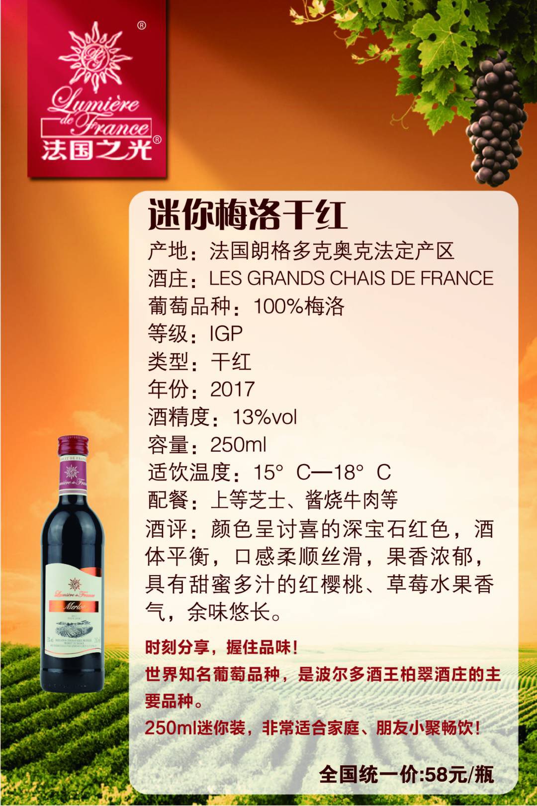 迷你梅洛干红葡萄酒（250ml/瓶）
