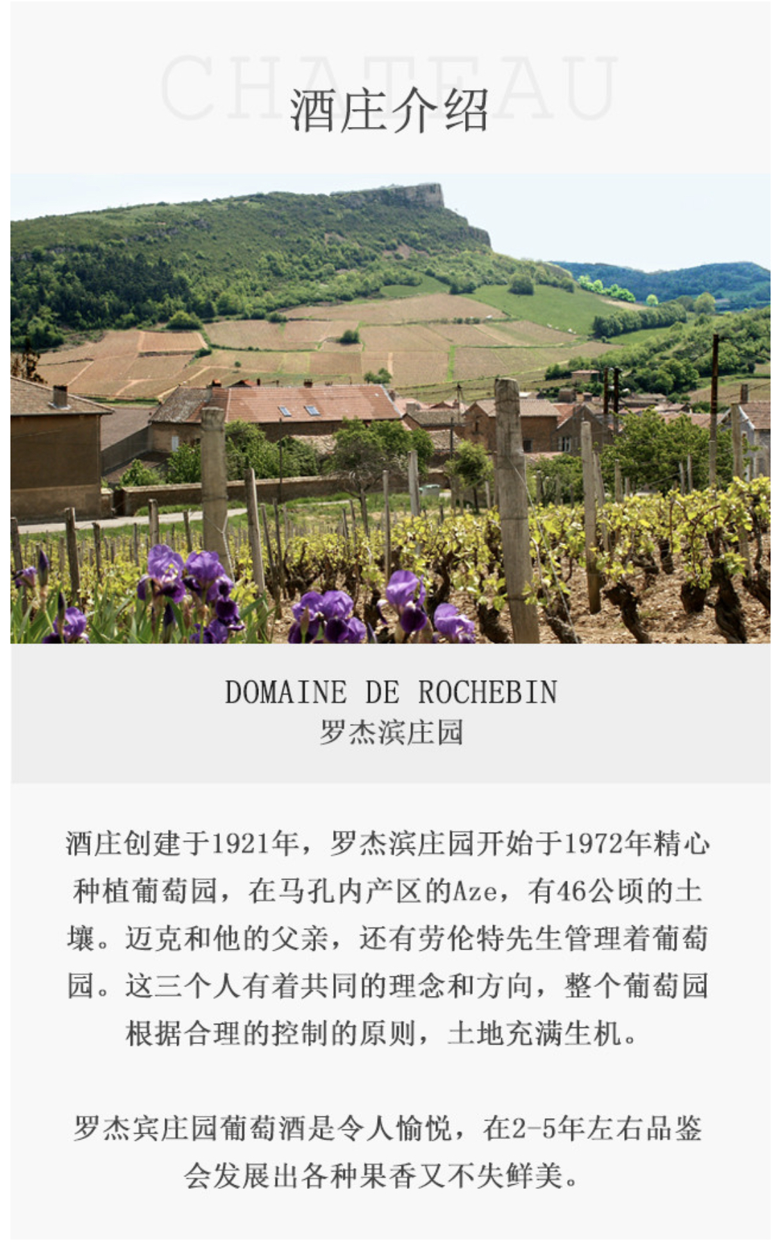 勃艮第老藤黑皮诺干红葡萄酒